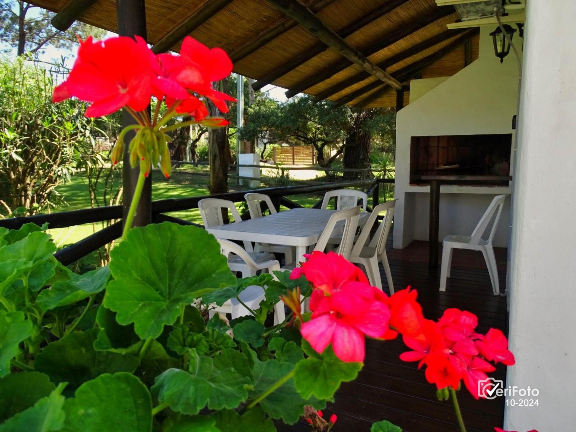 Bungalows Punta Colorada Piriápolis Exteriér fotografie