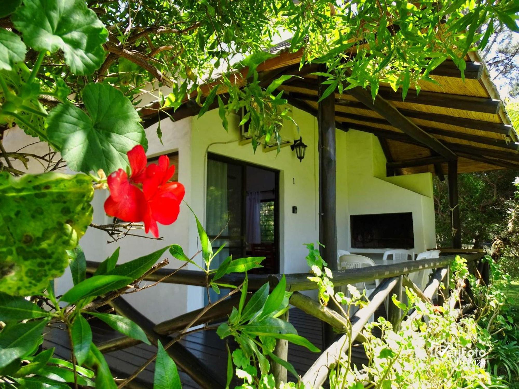 Bungalows Punta Colorada Piriápolis Exteriér fotografie